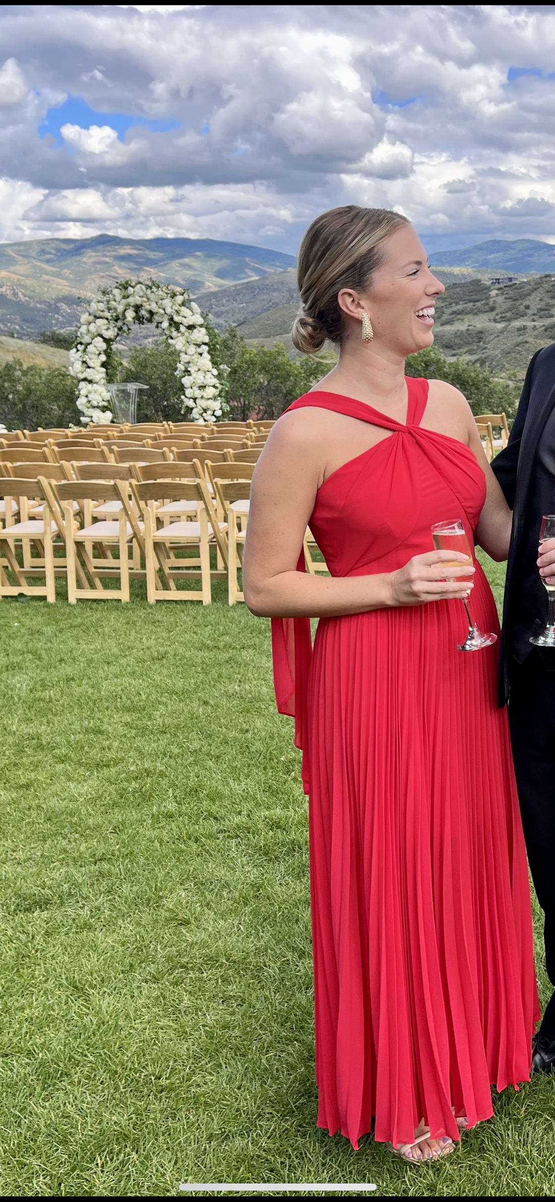 AMUR Peri Pleated Gown - 8