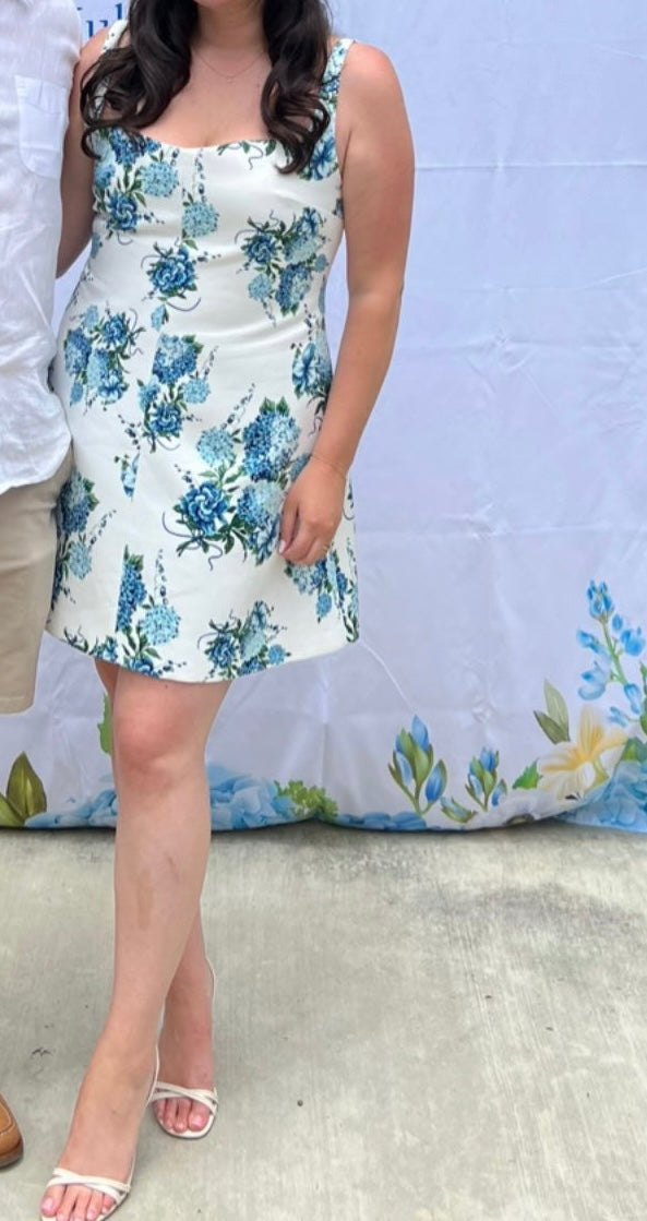 Emilia Wickstead Floral Theoni Mini Dress In Blue - 14