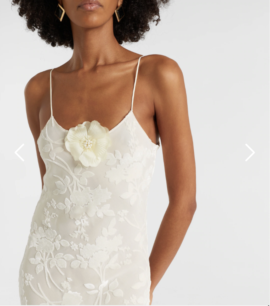 Rodarte Devoré floral velvet gown - 0