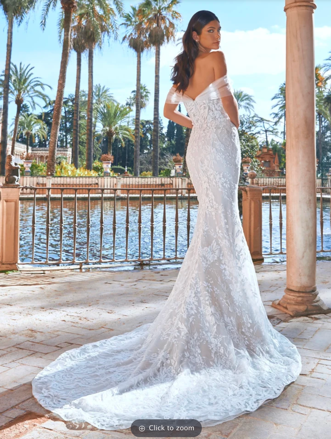 Pronovias Havasu Gown - 6