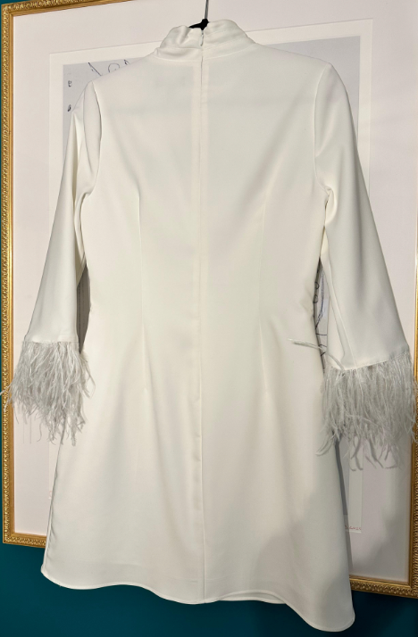 Adrianna Papell Feather Trimmed Dress in Ivory- 10 - Studio Mariée